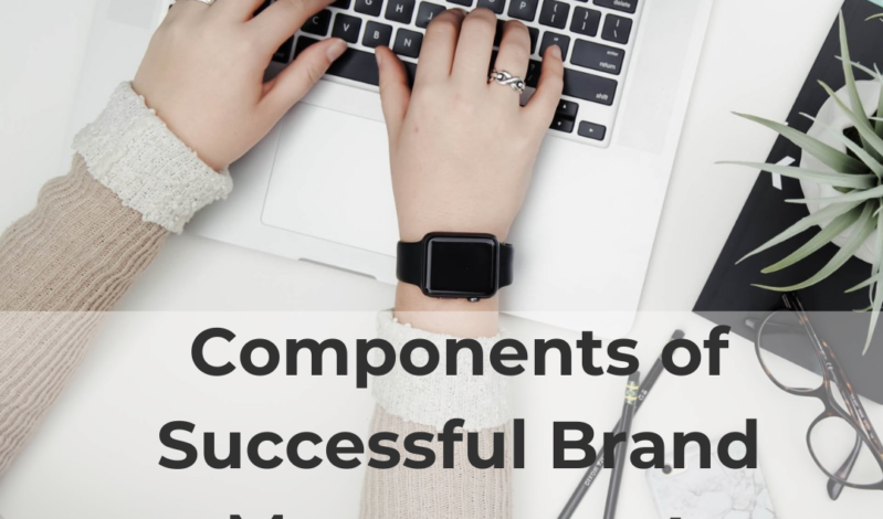 Components of Successful Brand Management